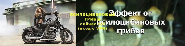 стафф Семикаракорск